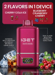 IGET Disposable Vape